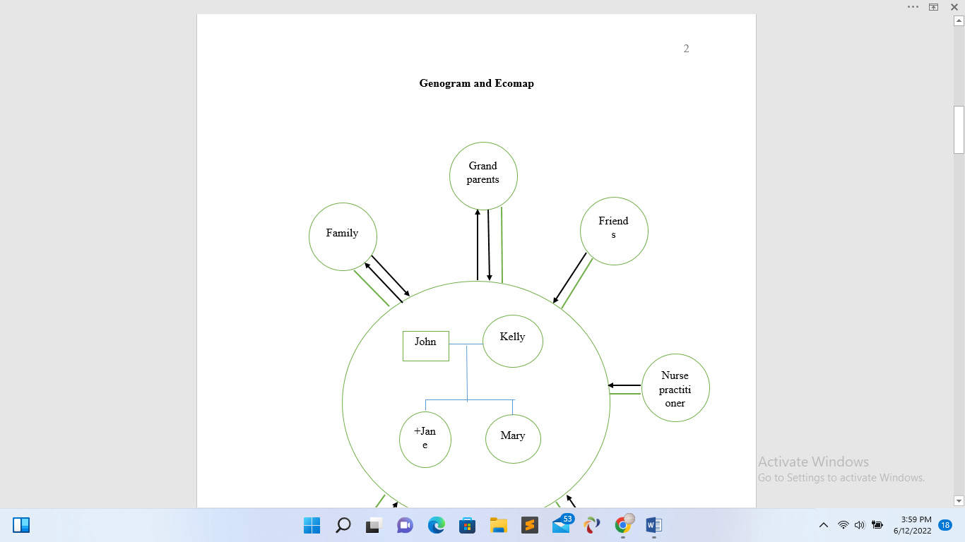 Ecomap And Genogram Relationship Writ Task